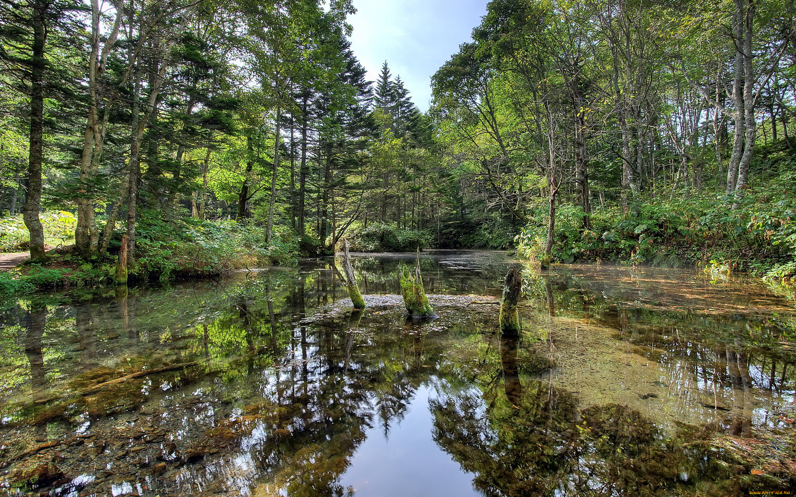 , , , , , 